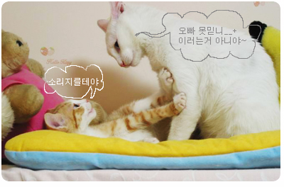 사용자 삽입 이미지
